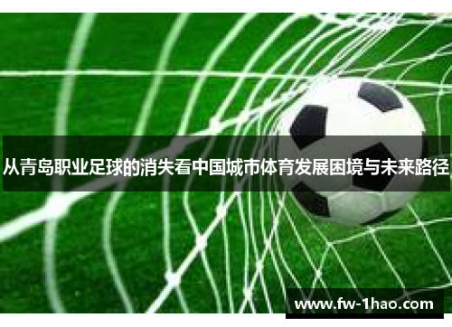 从青岛职业足球的消失看中国城市体育发展困境与未来路径 从青岛职业足球的消失看中国城市体育发展困境与未来路径