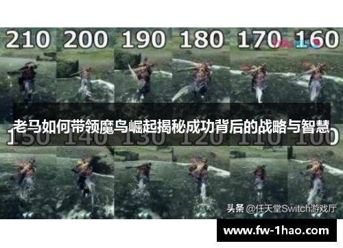 老马如何带领魔鸟崛起揭秘成功背后的战略与智慧