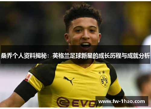桑乔个人资料揭秘:英格兰足球新星的成长历程与成就分析 桑乔个人资料揭秘:英格兰足球新星的成长历程与成就分析