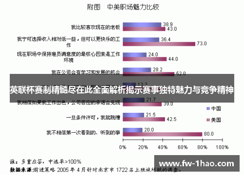 英联杯赛制精髓尽在此全面解析揭示赛事独特魅力与竞争精神