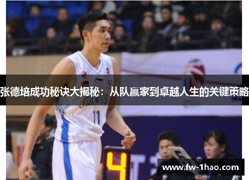 张德培成功秘诀大揭秘：从队赢家到卓越人生的关键策略